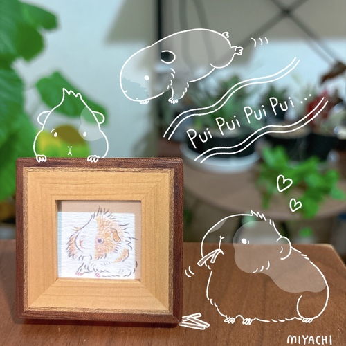 出店イメージ2