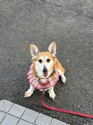 出店イメージ1