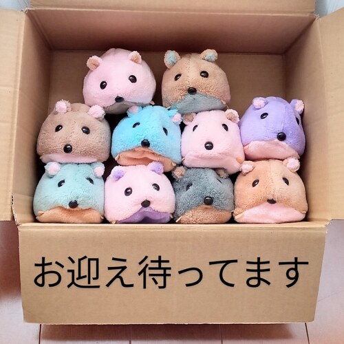 出店イメージ5
