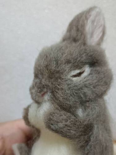 出店イメージ5