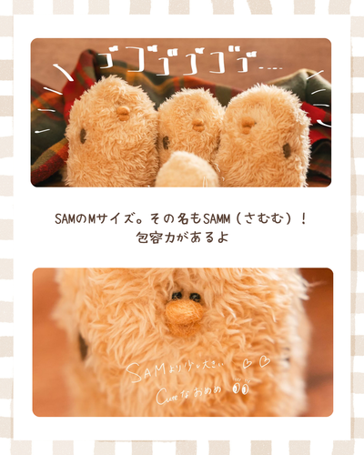 出店イメージ3