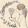 Gypsophile kona