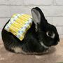 ひだまりのたね