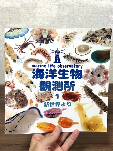 出店イメージ1