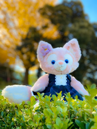 出店イメージ4