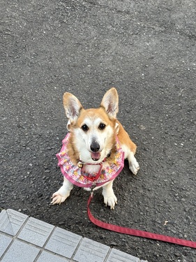 出店イメージ1