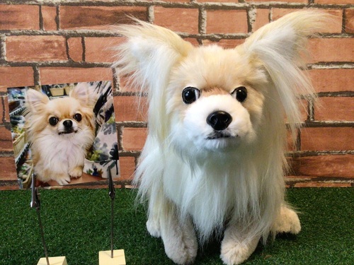 出店イメージ4