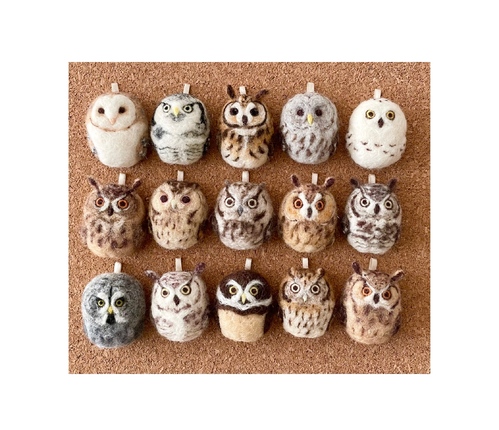 出店イメージ1