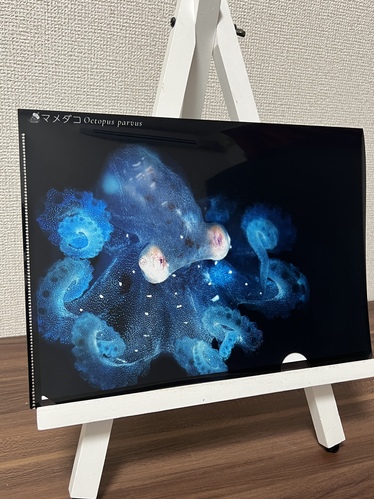 出店イメージ4