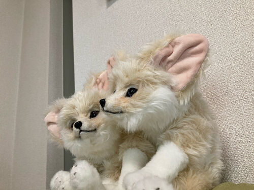 出店イメージ1