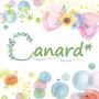 Canard*
