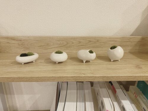 出店イメージ3