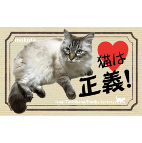 出店イメージ5
