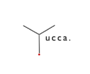 Yucca.