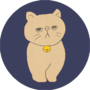nsfabricco