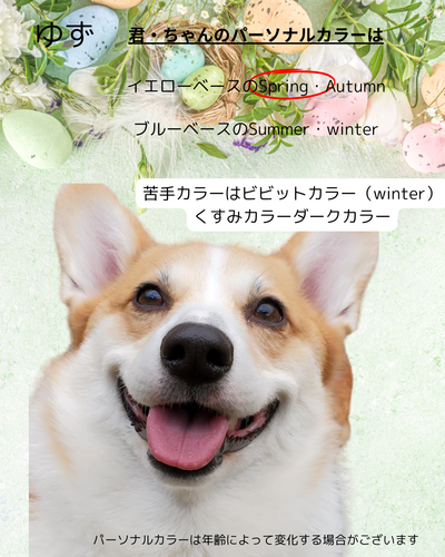 出店イメージ3